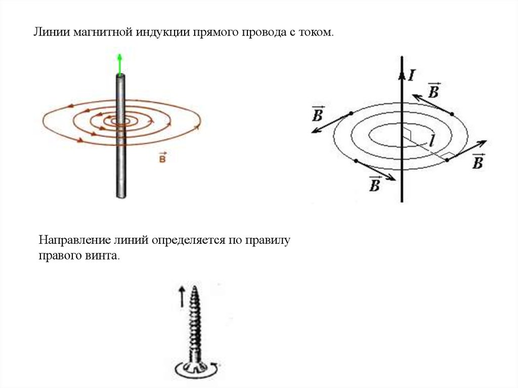 На каком из рисунков правильно изображены линии магнитной индукции для тонкого очень длинного