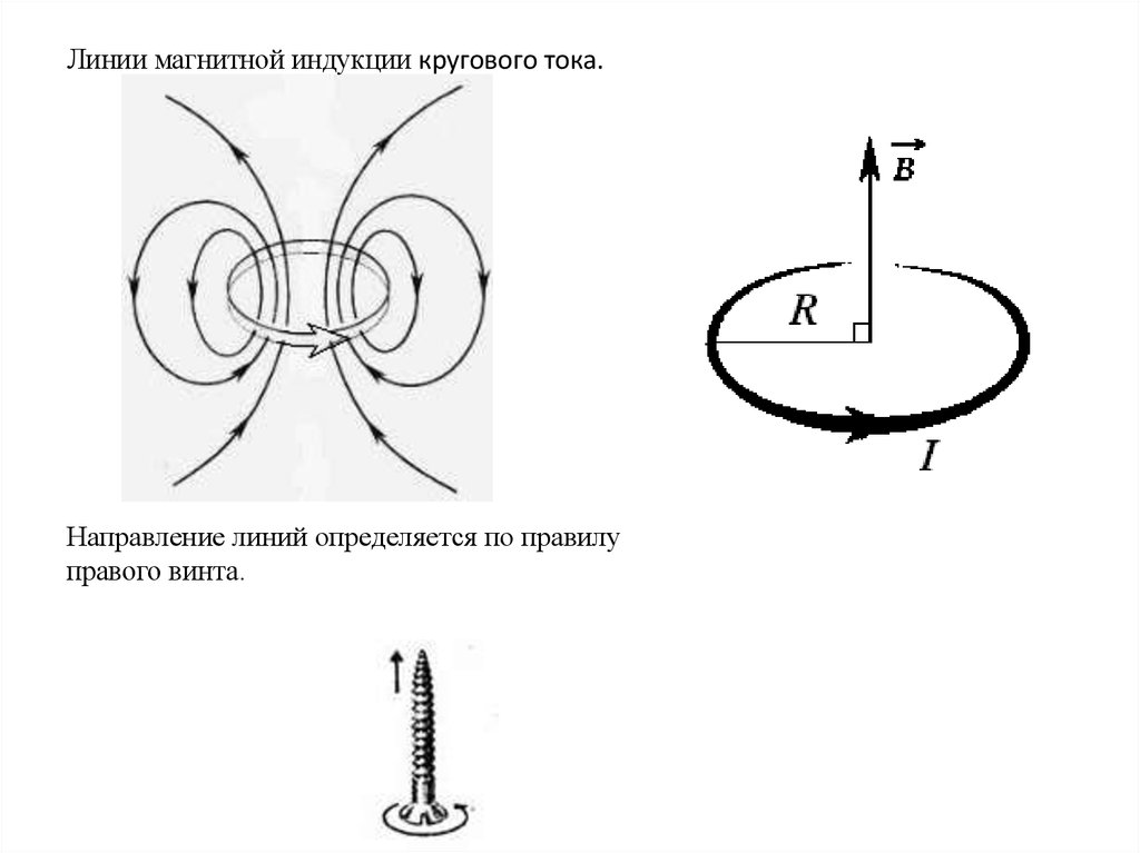 Магнитное поле перпендикулярно линиям магнитной индукции