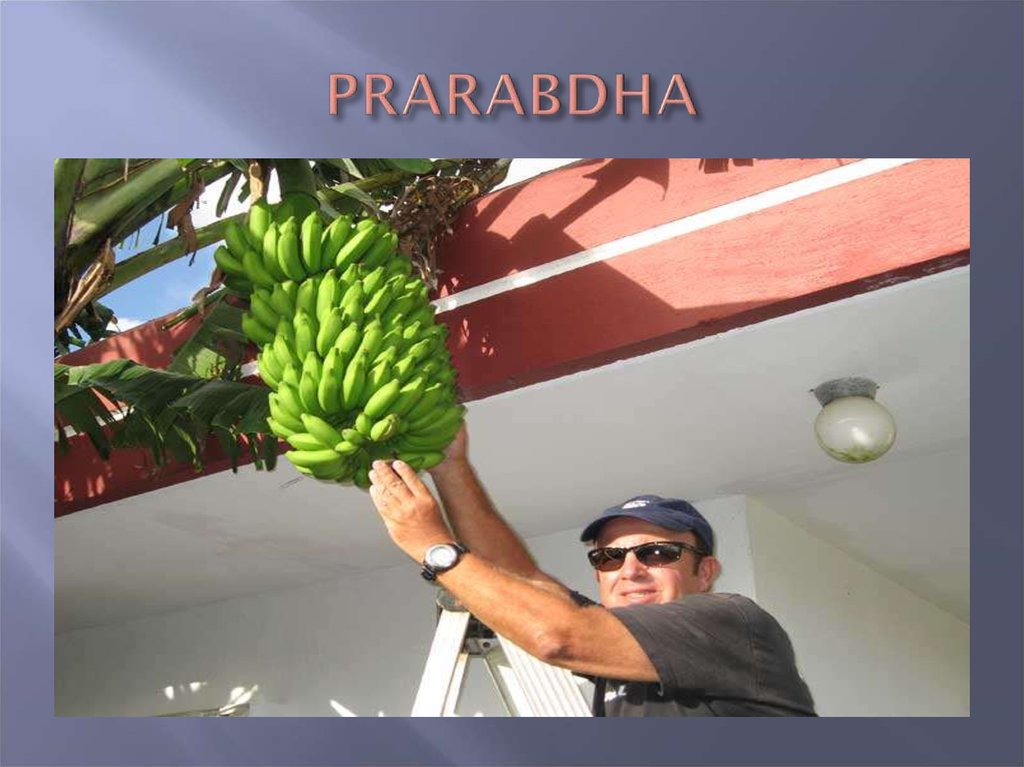 PRARABDHA