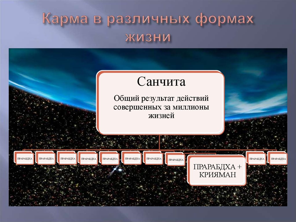 Карма в различных формах жизни