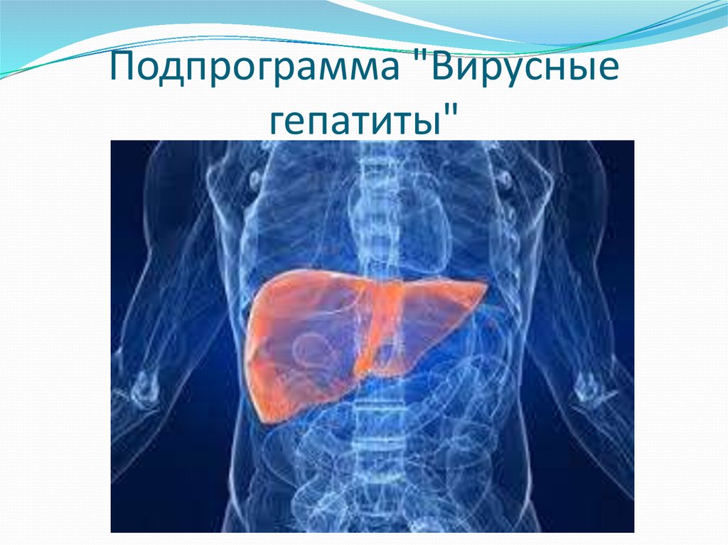 Подпрограмма "Вирусные гепатиты"