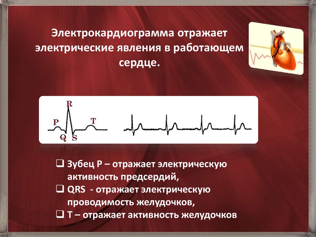 Электрические явления в сердце. Электрическая активность предсердий ЭКГ. Электрокардиограмма сердца отражает электрическую активность. Электрические явления в сердце. Электрокардиограмм.