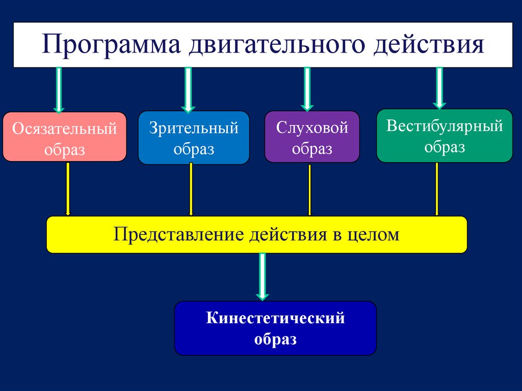 Представление действий. Зрительный образ двигательного действия. Двигательные программы. Программа двигательных действий зрительный образ. Кинестетический имидж.