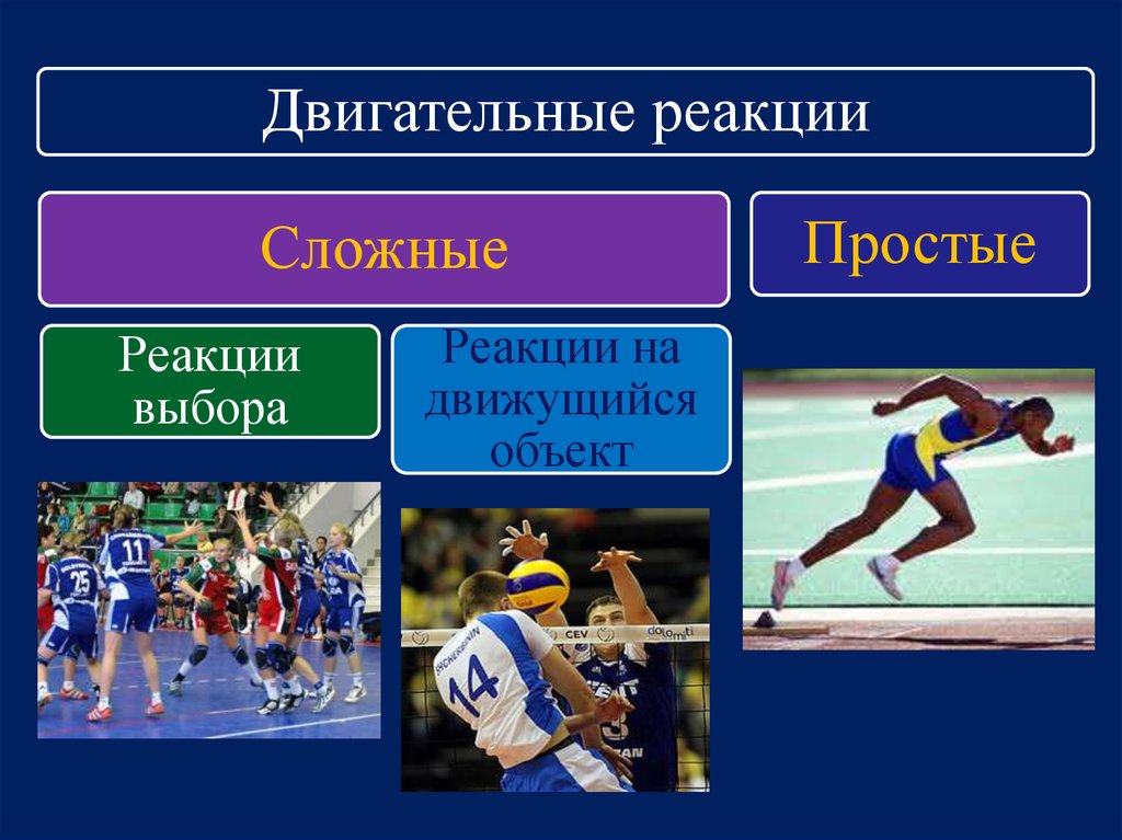 Спорт особенности