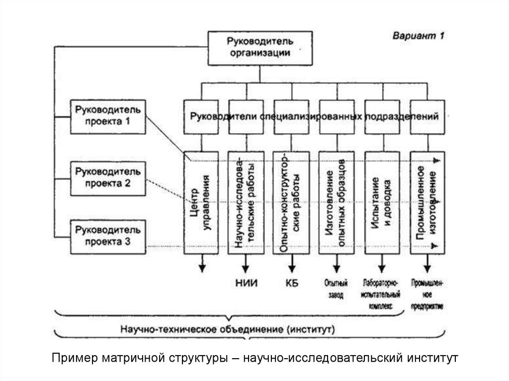 Вариант руководитель. Матричная структура вуза. Матричная структура института. Матричная структура на примере университета. Матричная организация научно-исследовательских работ.