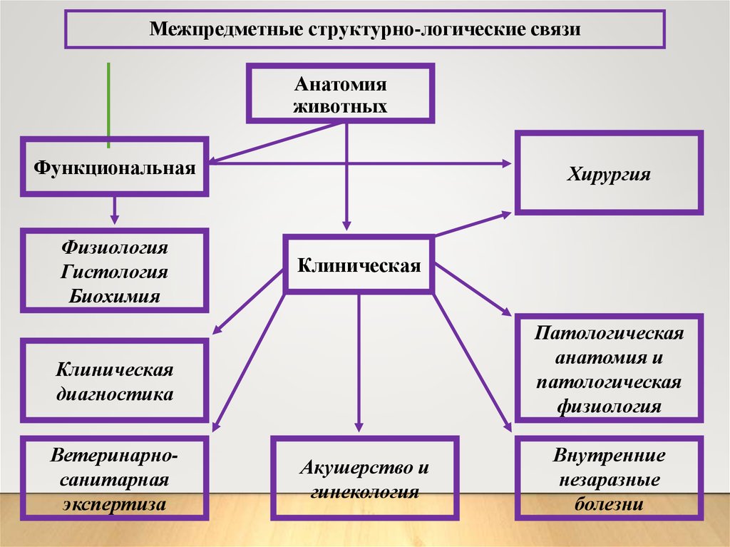 Клиническая анатомия предмет