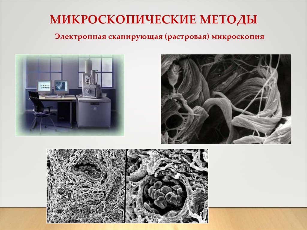 Применение метода микроскопии. Микроскопический метод в анатомии. Микроскопический метод исследования в анатомии. Микроскопические методы. Сканирующая электронная микроскопия основана на.