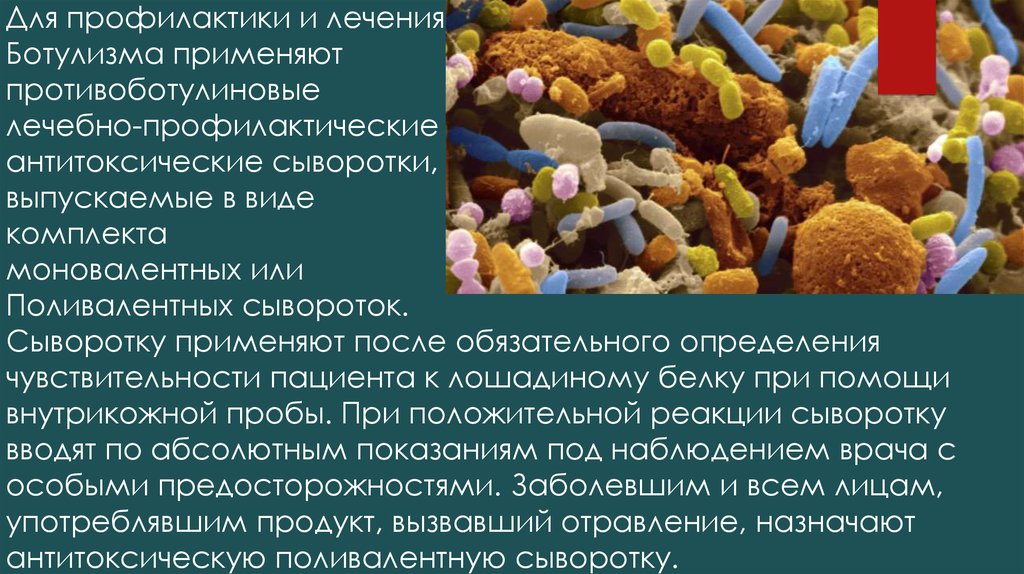 Какой продукт часто приводит к ботулизму. Лечебно-профилактические сыворотки антитоксические сыворотки. Профилактика ботулизма презентация. Антибиотики против ботулизма. Ботулизм лечение.