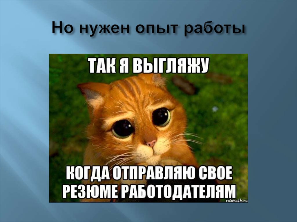 Но нужен опыт работы