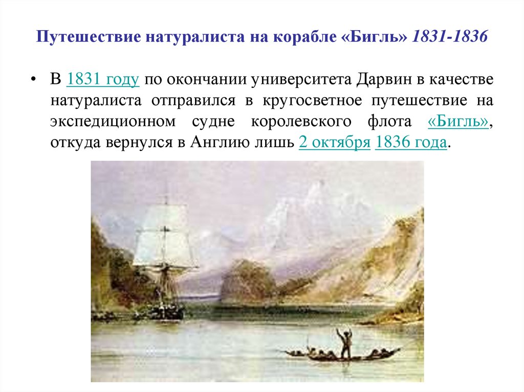 Дарвин путешествие на корабле. Путешествие натуралиста на корабле «Бигль» (1831—1836). Экспедиция Дарвина на корабле Бигль. 1831 Год Дарвин на корабле. Наблюдения Дарвина на корабле Бигль.