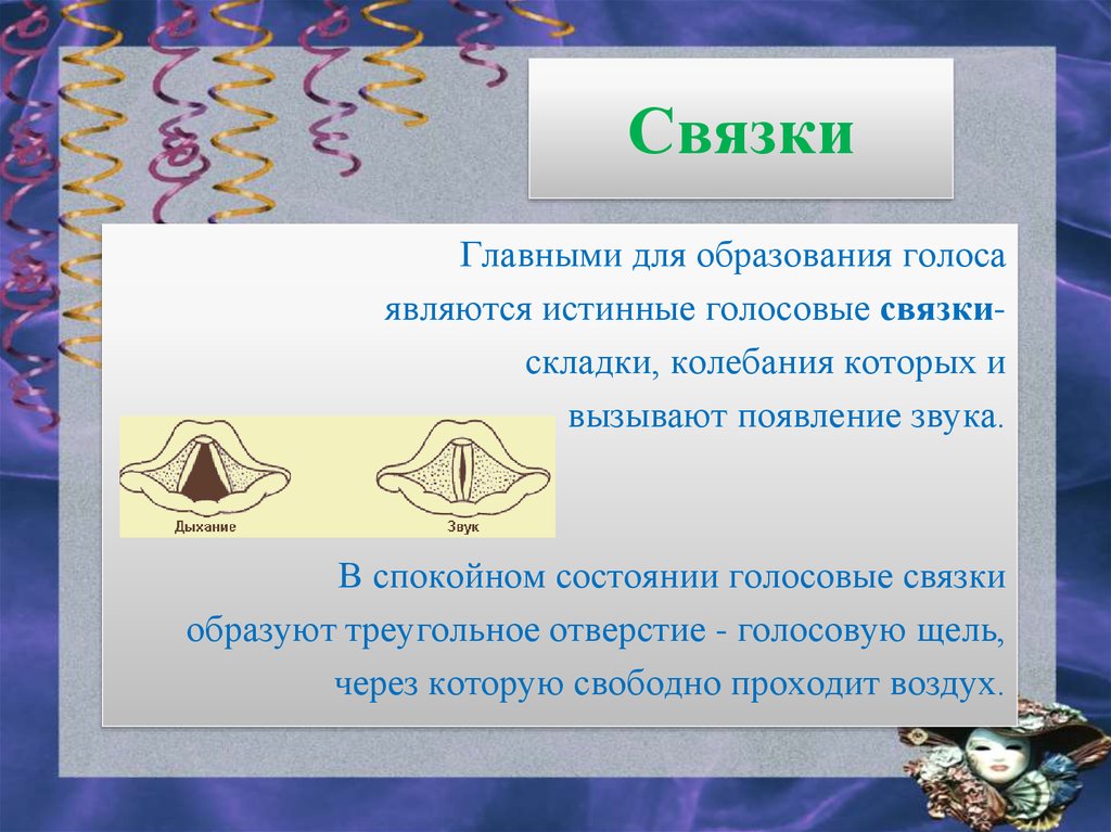 Звук появления. Образование голоса анатомия. Истинные голосовые связки образованы. Образование голоса биология. Как образуется голос анатомия.