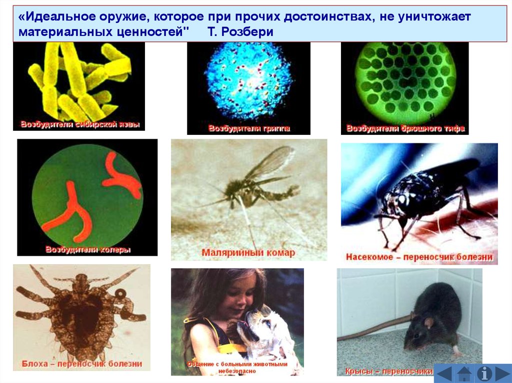 Современные средства поражения презентация