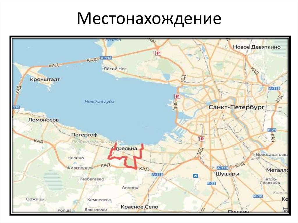 Город Стрельна - презентация онлайн