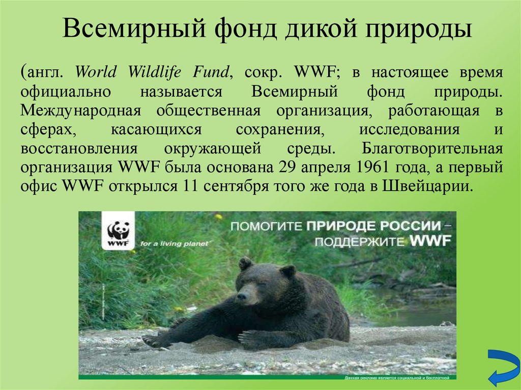 Презентация на тему wwf