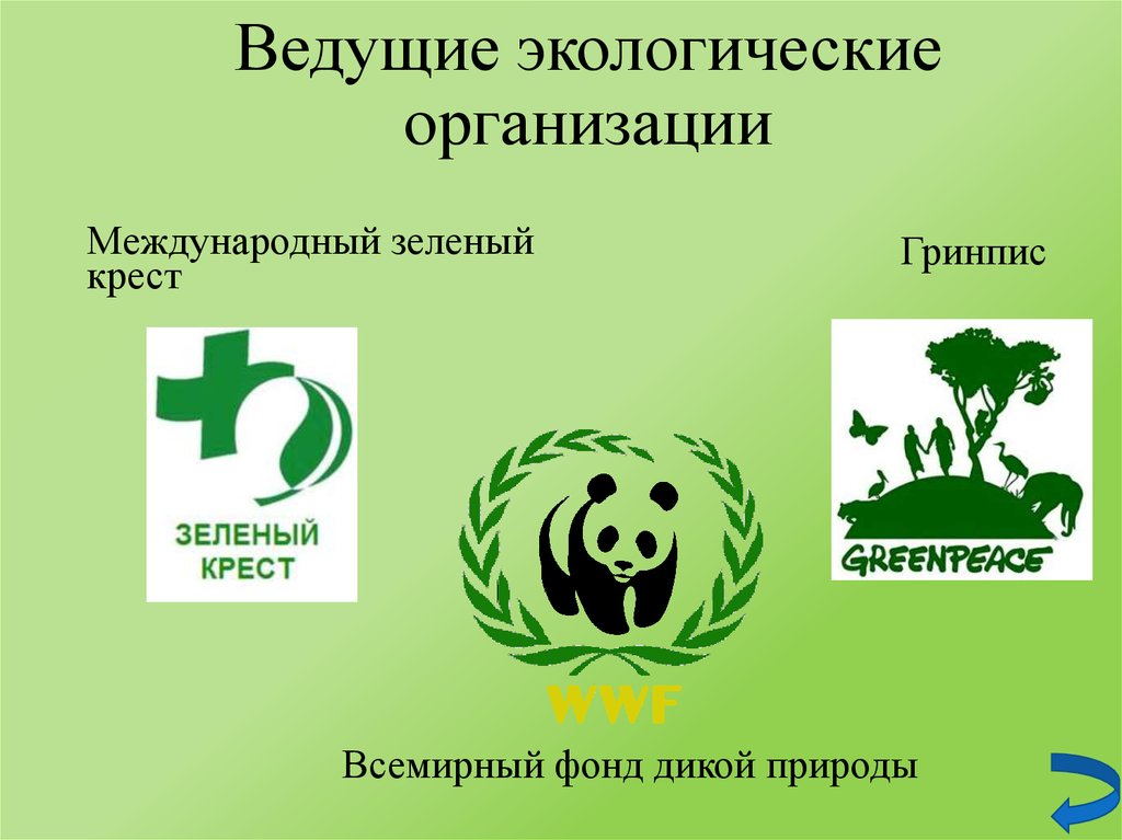 Основные экологические организации