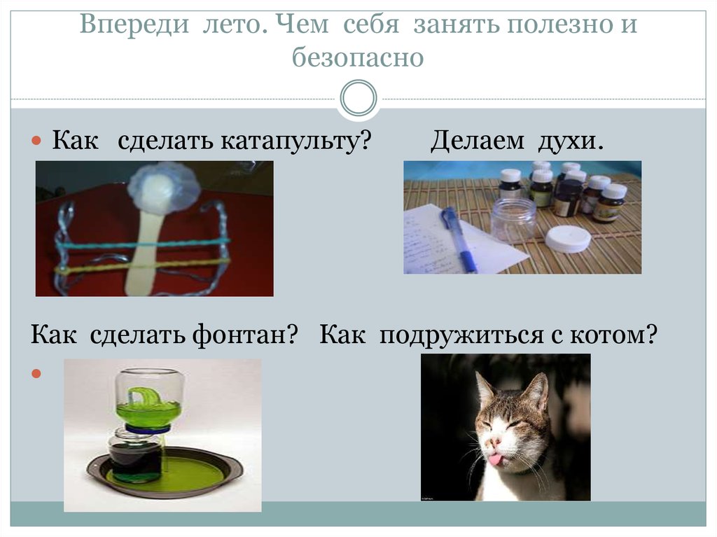 Впереди лето. Чем себя занять полезно и безопасно