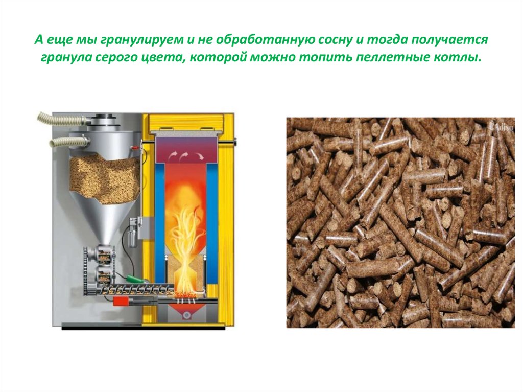 А еще мы гранулируем и не обработанную сосну и тогда получается гранула серого цвета, которой можно топить пеллетные котлы.
