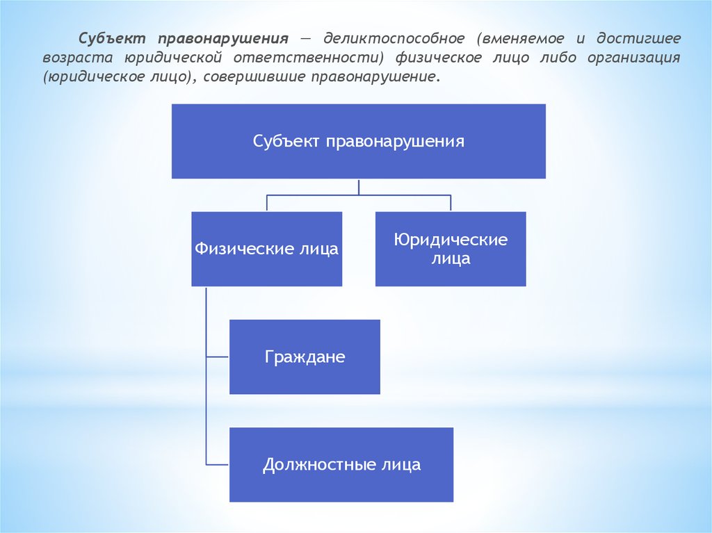 Субъектом правонарушение признается