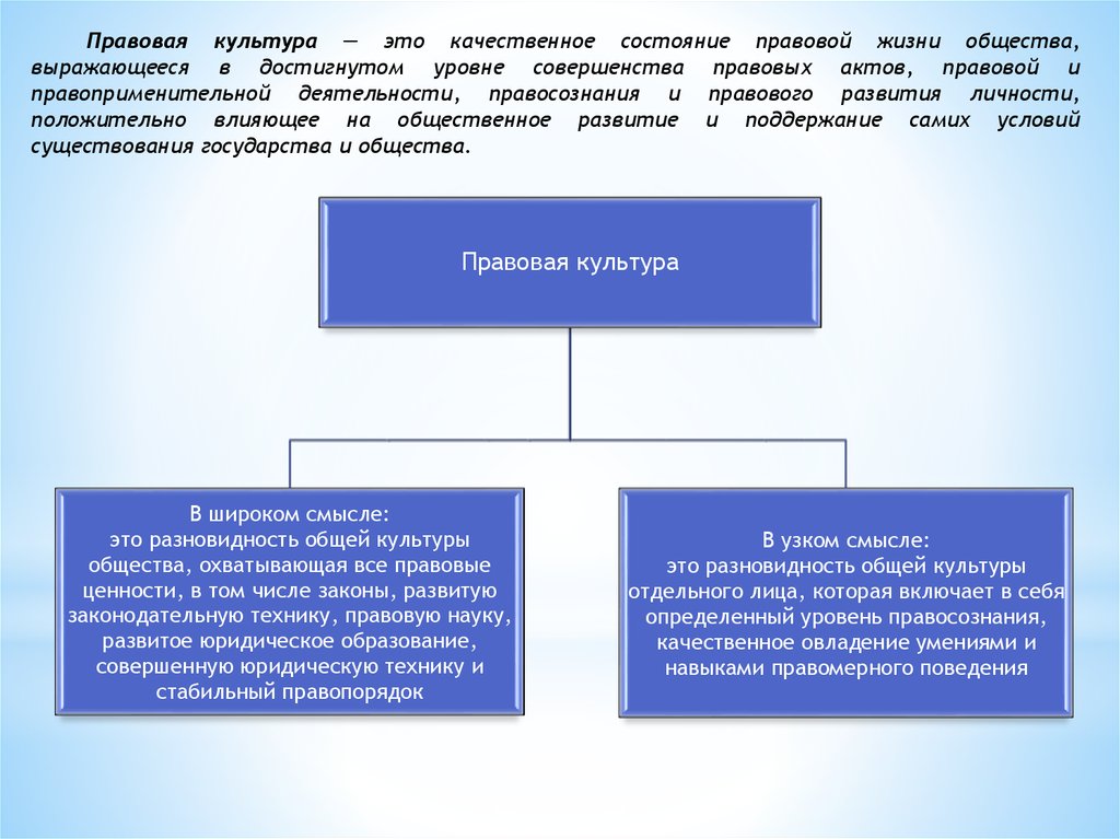 Правовая жизнь общества. Правовое состояние это. Виды правовой жизни. Предмет учета юридической теории.