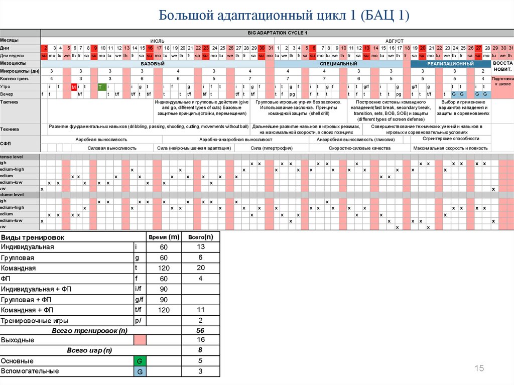 Годичный цикл тренировок. Командный годичный план подготовки в футболе.