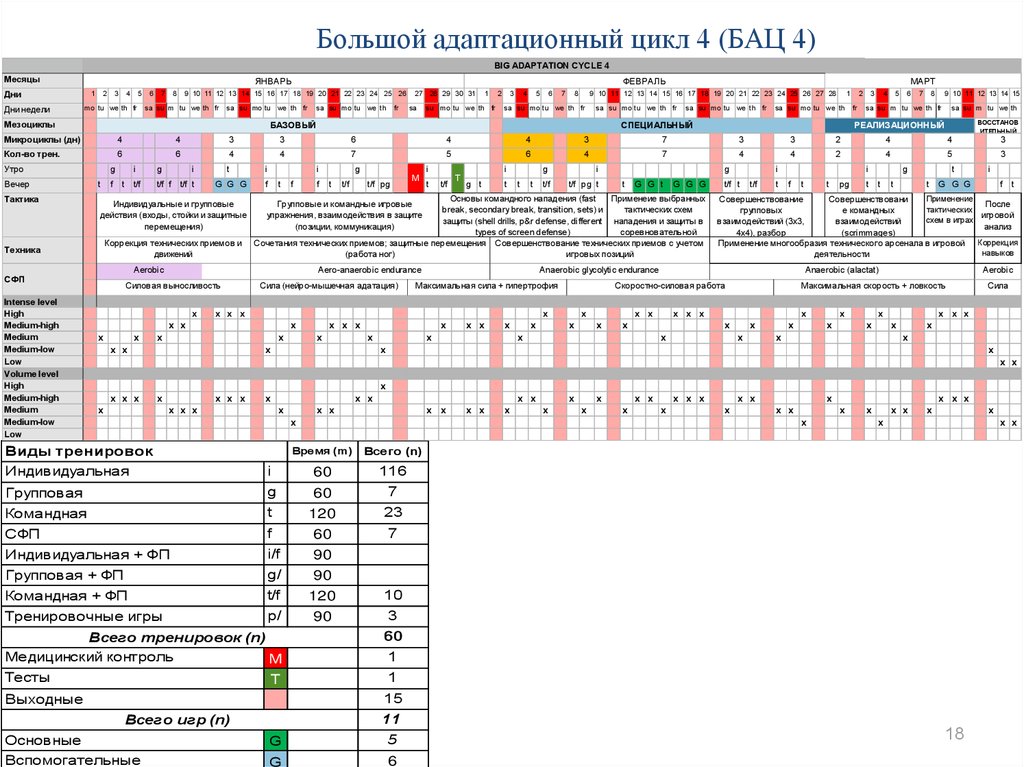 Тренировочный план по баскетболу на год