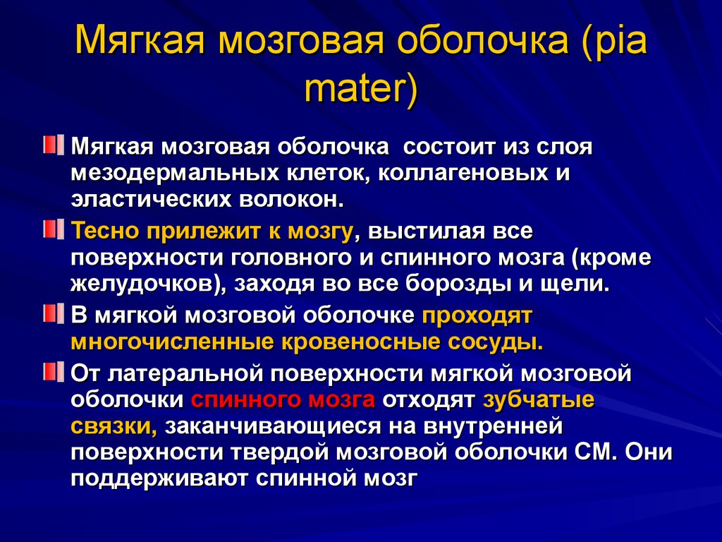 Мягкая мозговая оболочка головного мозга. Мягкая мозговая оболочка. Мочкая мозговая оболочка. Мягкая мозговая оболочка состоит из. Мягкая мозговая оболочка клетки.