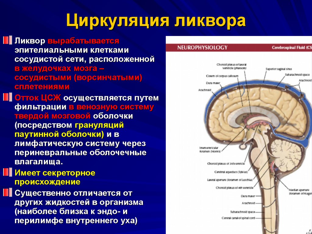 Ликворные изменения мозга