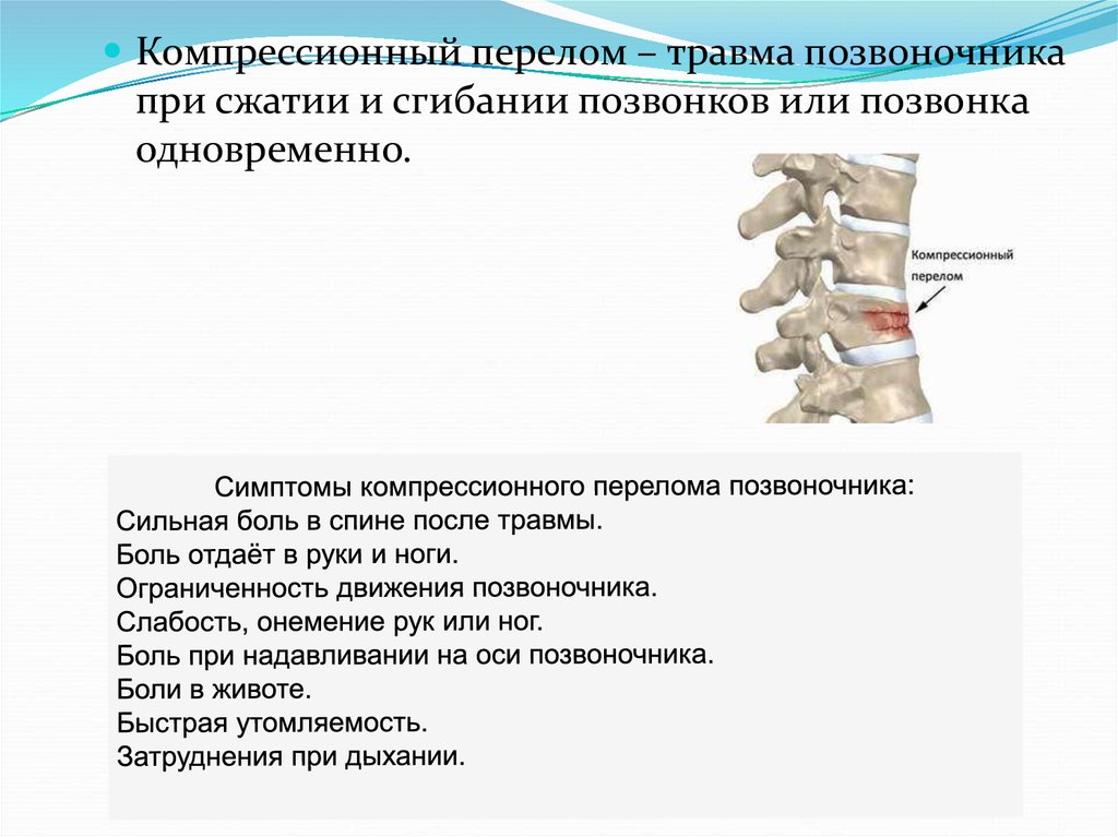 Компрессионный перелом позвоночника. Компрессионный перелом позвоночника симптомы. Компрессионный перелом позвоночника описание. Клинические признаки компрессионных переломов тел позвонков. Компрессионный перелом позвонка симптомы.