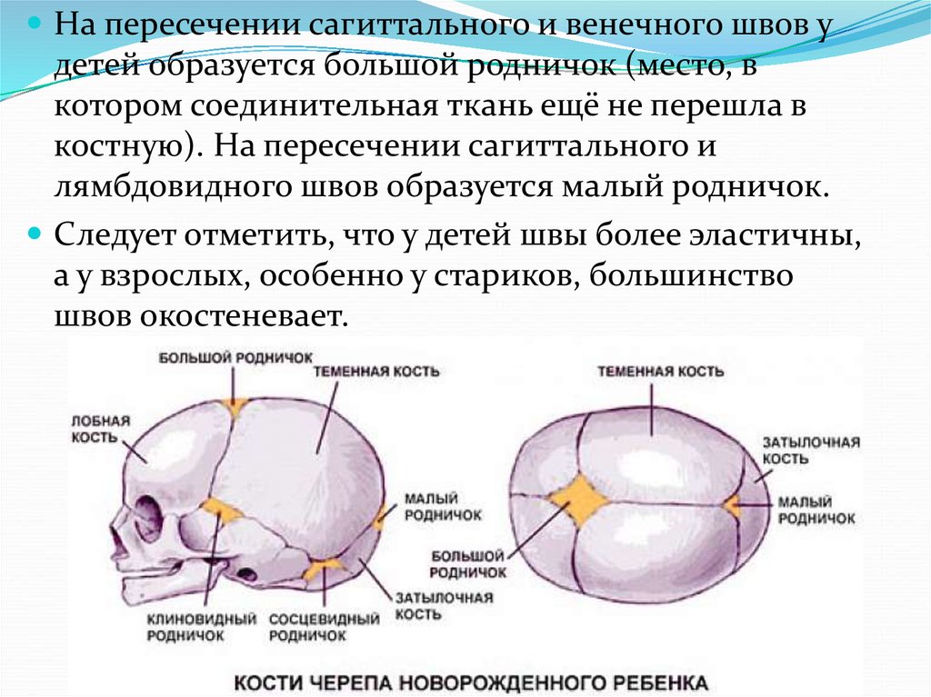 Роднички доношенного ребенка. Расположение родничков черепа у новорожденного. Передний Родничок черепа новорожденного. Роднички черепа новорожденного таблица. Швы и роднички черепа анатомия.