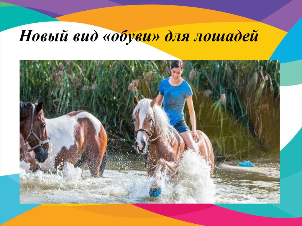 Уход за лошадьми презентация