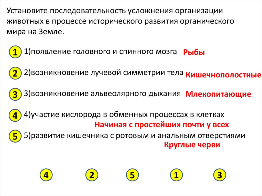 Происхождение и развитие жизни на rowser.ru