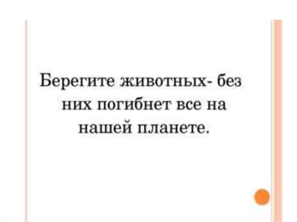 Менее короткий. Чтобы сказали животные если бы умели говорить. Берегите животных текст. Текс берегите животных. Сказанные животные.