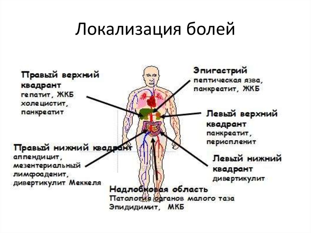 Боль под ребрами слева спереди у мужчин. Боли различной локализации. Локализация боли и причины. Локализация боли при различных заболеваниях.