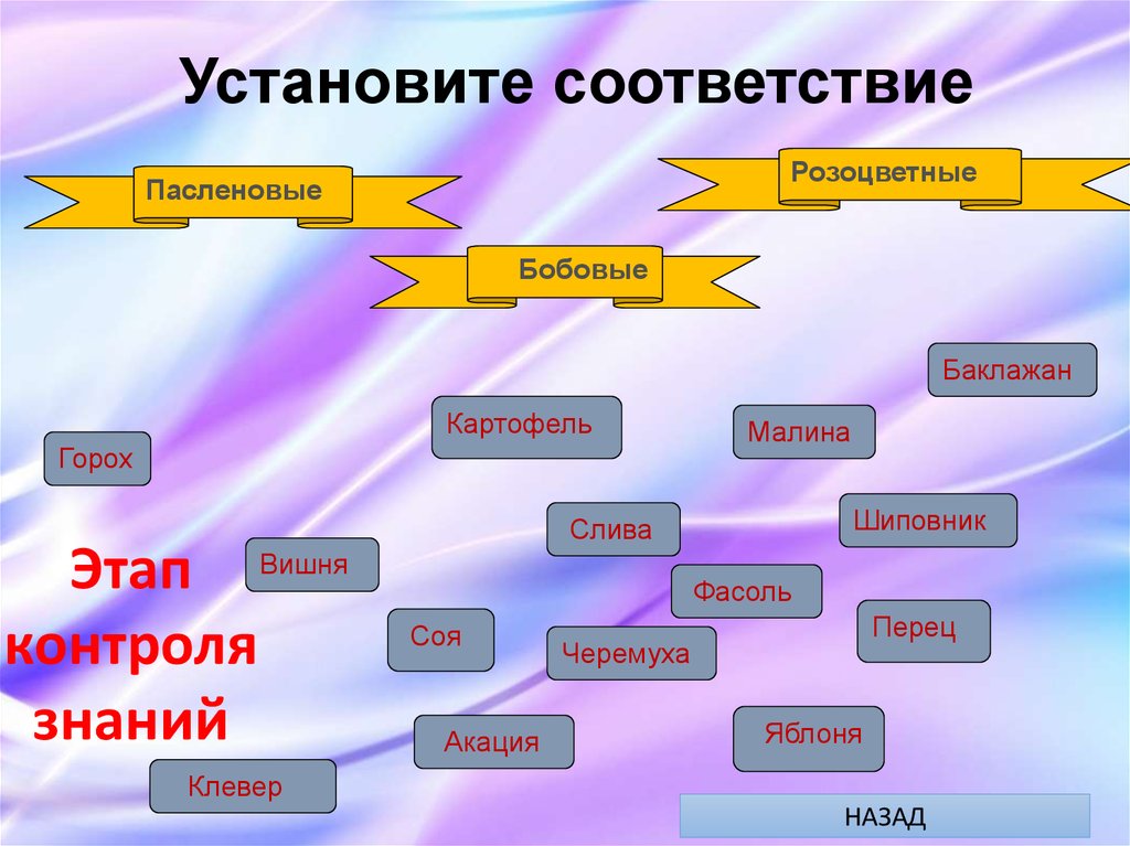 Презентация по биологии на тему воля