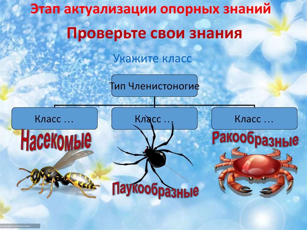 Проверьте свои знания