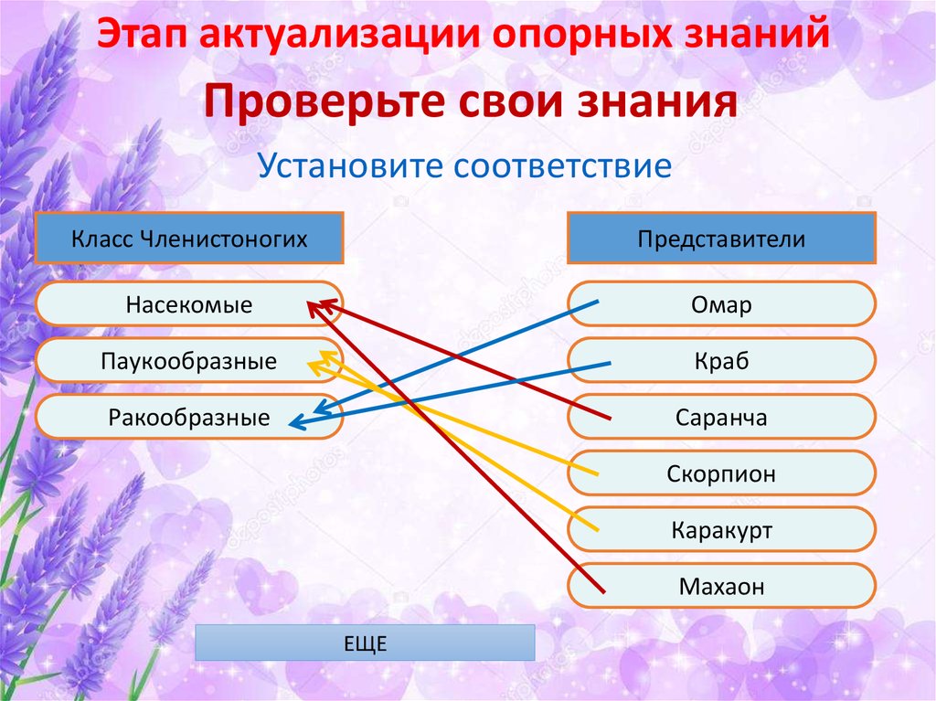 Проверьте свои знания