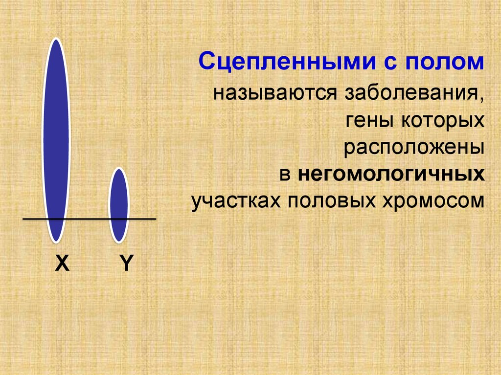 Полом называют. Генные болезни сцепленные с полом. Сцепленными с полом называются признаки гены которых расположены в. Гены, сцепленные с полом, расположены в. Название заболевания сцепленные с полом названия.