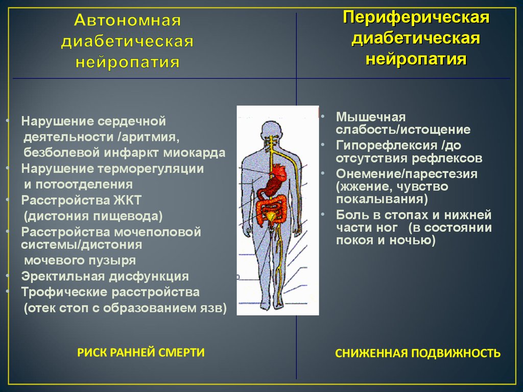 Симптомы нейропатии. Клинические симптомы диабетической нейропатии. Формы автономной диабетической нейропатии:. Симптомы диабетической нейропатии конечностей. Диабетическая периферическая нейропатия.