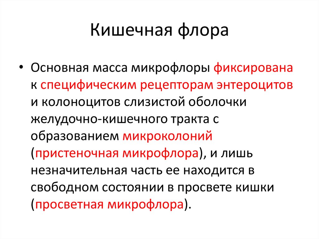 Анаэробный дисбиоз у женщин что это такое