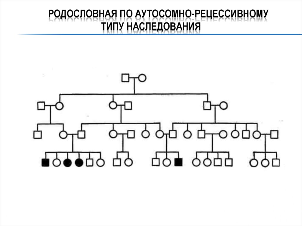 Аутосомно рецессивный тип наследования. Родословная с аутосомно-рецессивным типом наследования. Аутосомно-рецессивный Тип родословная. Аутосомный рецессивный Тип наследования родословная. Аутосомно-рецессивный Тип наследования схема.