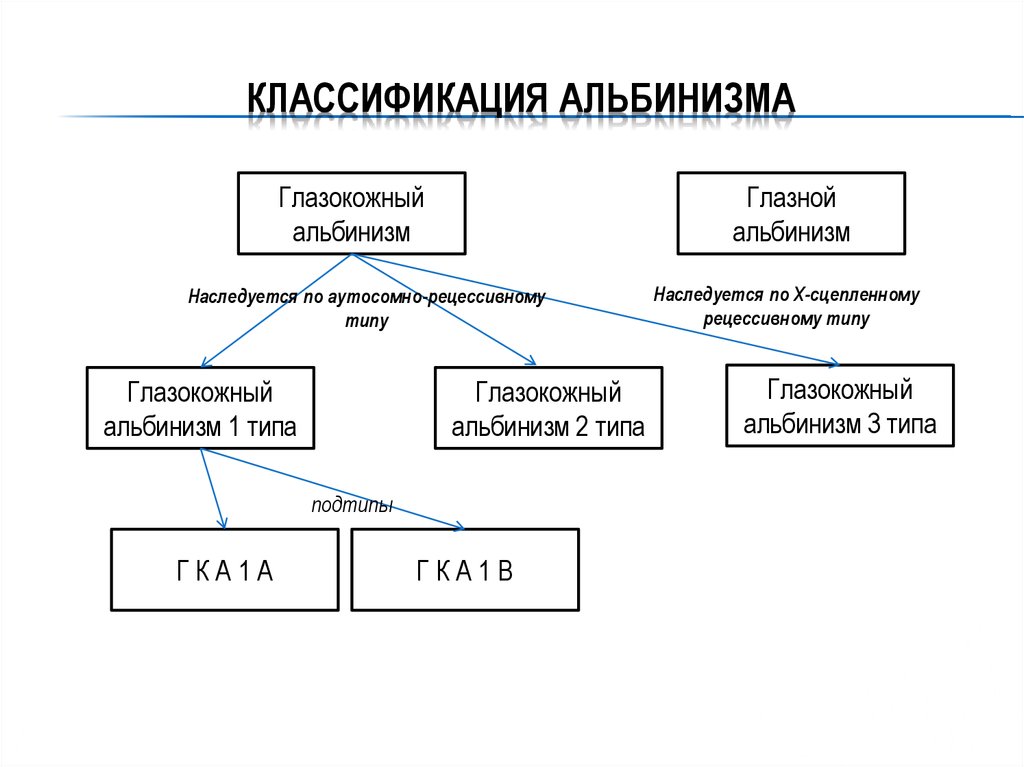 Презентация альбинизм биохимия