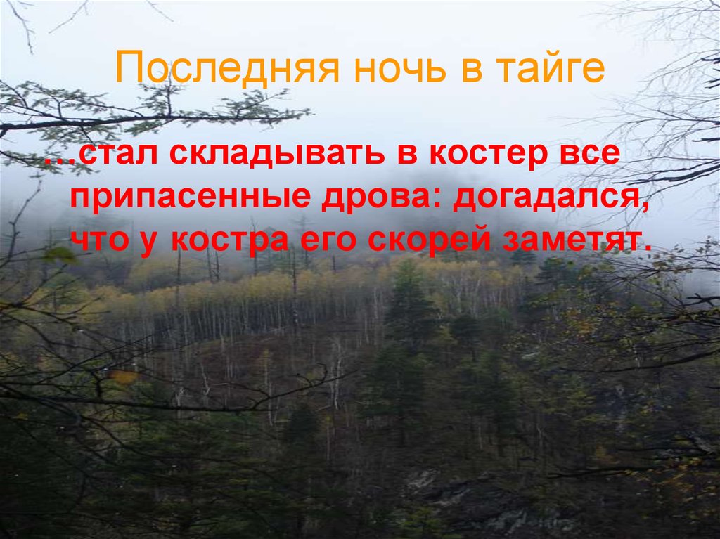 План выживания в тайге по рассказу васюткино озеро