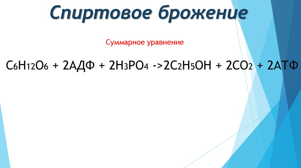 Спиртовое брожение. Спиртовое брожение суммарное уравнение реакции. Суммарное уравнение спиртового брожения. Суммарное уравнение спиртового брожения Глюкозы. Спиртовое брожение формула.