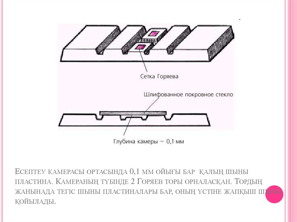 Камера горяева картинки