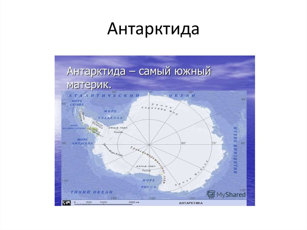 Положение антарктиды к океанам