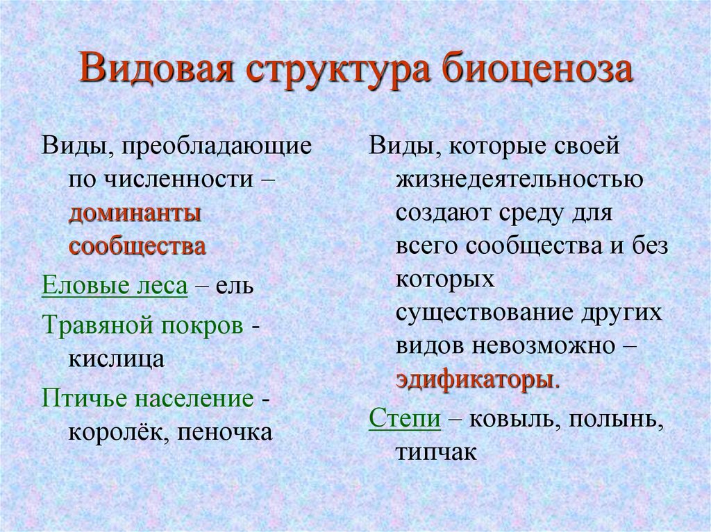 Преобладать. Видовая структура биоценоза. Видова я структура биоценозая. Видовая и пространственная структура биоценоза. Типы структур биоценоза.