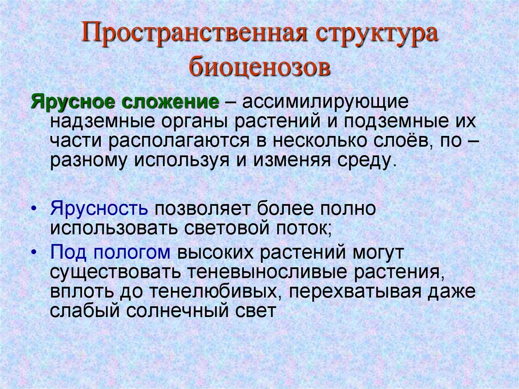 Охарактеризуйте роль ярусного размещения видов в биогеоценозе