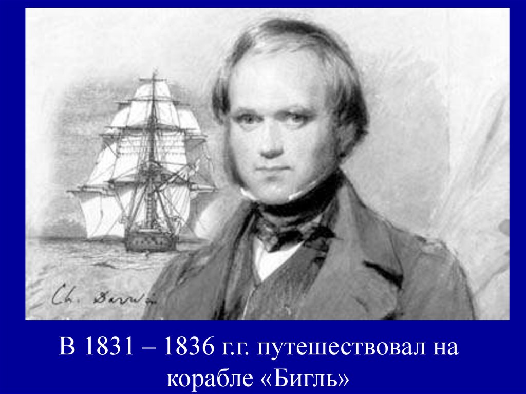 Кругосветное путешествие на корабле бигль. Корабль Чарльза Дарвина. Кругосветное путешествие Чарльза Дарвина. Корабль Бигль Дарвин. Кругосветное путешествие на корабле «Бигль» 1831-1836.