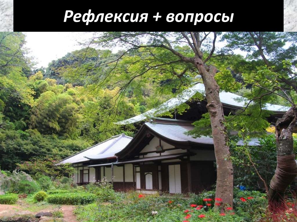 Рефлексия + вопросы