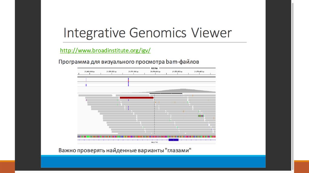 Ngs. NGS- данные. NGS Analysis data. Fastq NGS. Integrative Genomics viewer.